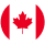 flag image